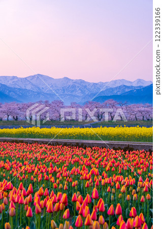 Asahi Funakawa Spring Quartet Asahi Funakawa Spring Quartet 122339166