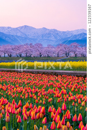 Asahi Funakawa Spring Quartet 122339167