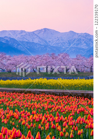 Asahi Funakawa Spring Quartet Asahi Funakawa Spring Quartet 122339170