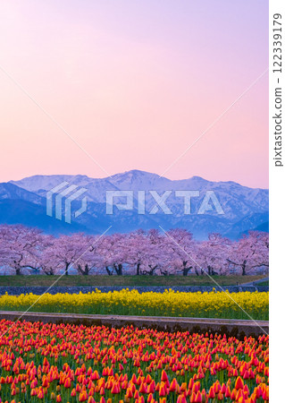 Asahi Funakawa Spring Quartet 122339179