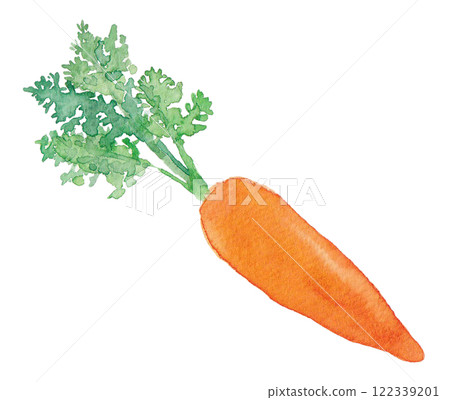 Watercolor carrot illustration 122339201