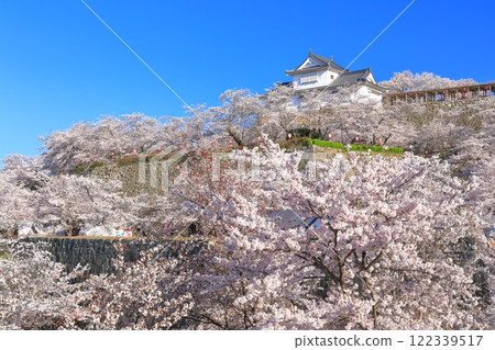 [岡山縣]晴空下的津山城櫻花盛開（美中塔） 122339517