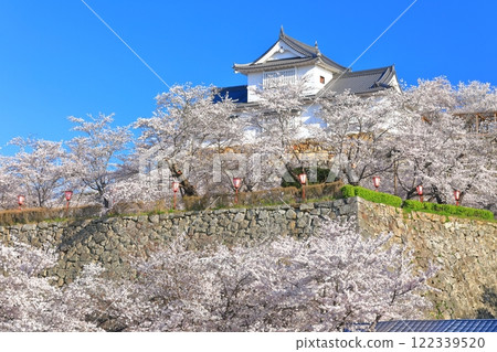 [岡山縣]晴空下的津山城櫻花盛開（美中塔） 122339520