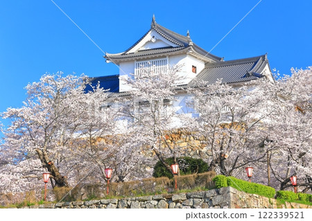[Okayama Prefecture] Cherry blossoms in full bloom at Tsuyama Castle under clear skies (Binaka turret) 122339521