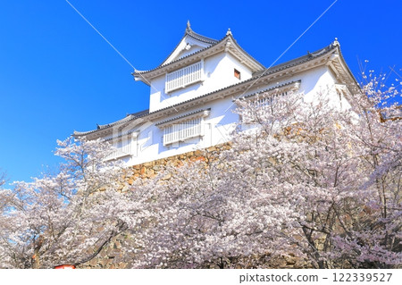 [Okayama Prefecture] Cherry blossoms in full bloom at Tsuyama Castle under clear skies (Binaka turret) 122339527