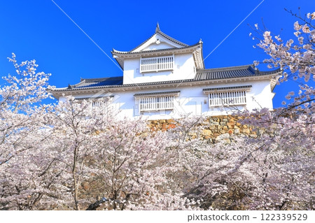 [Okayama Prefecture] Cherry blossoms in full bloom at Tsuyama Castle under clear skies (Binaka turret) 122339529