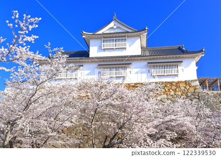 [Okayama Prefecture] Cherry blossoms in full bloom at Tsuyama Castle under clear skies (Binaka turret) 122339530