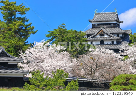 [島根縣]櫻花盛開的松江城天守閣和南角樓（國寶） 122339540