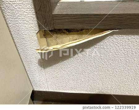 浴室前面的牆紙剝落和黴菌生長 122339919