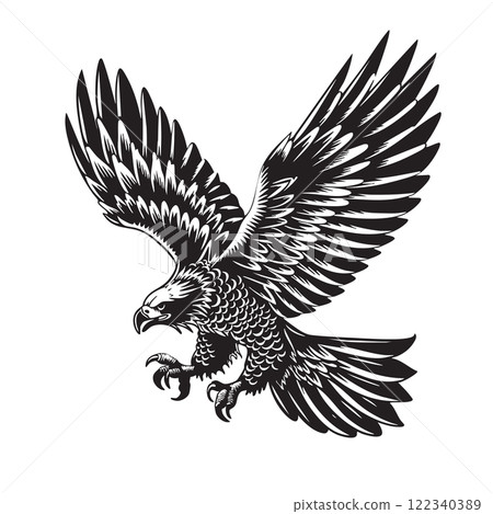 Vector of majestic eagle in flight, rendered in a classic black and white style, exudes power and freedom. Perfect for branding, logos, and nature-themed designs. Bird. Wildlife Animals. 122340389