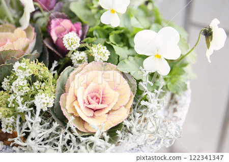 Brightly colored plantings using peony leaves in a winter garden 122341347