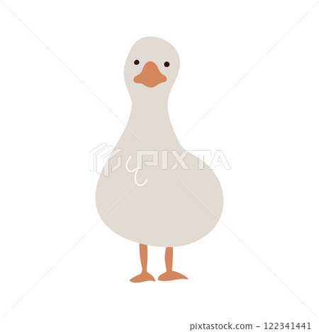 Hand-drawn illustration of a duck facing forward Hand-drawn illustration of a duck facing forward 122341441