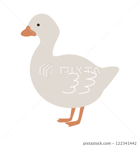 Hand-drawn illustration of a duck looking sideways Hand-drawn illustration of a duck looking sideways 122341442