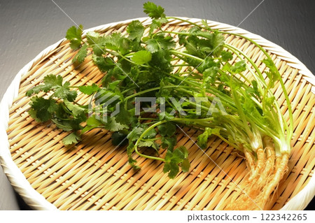 Cilantro horizontal black background Cilantro horizontal black background 122342265