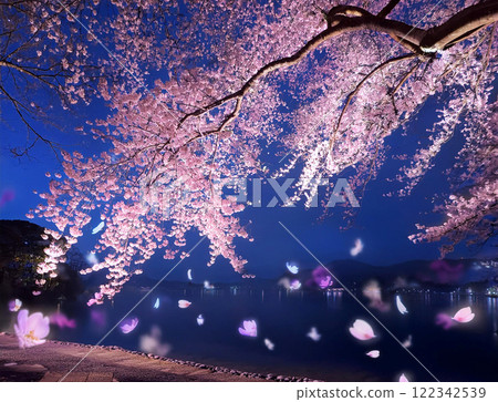 Illuminated cherry blossoms at night 122342539