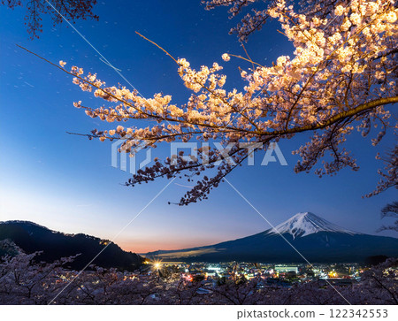 Illuminated cherry blossoms at night 122342553