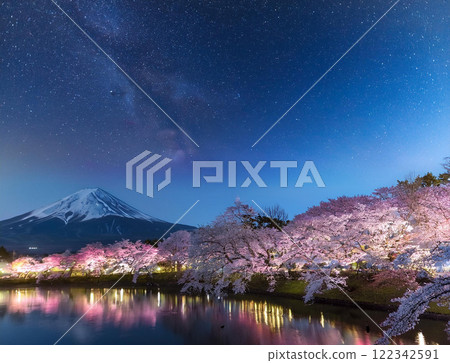 Illuminated cherry blossoms at night Illuminated cherry blossoms at night 122342591