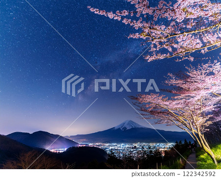 Illuminated cherry blossoms at night Illuminated cherry blossoms at night 122342592