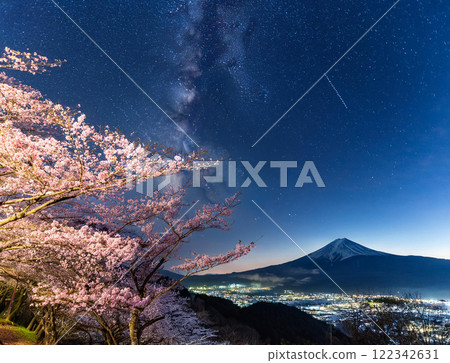 Illuminated cherry blossoms at night 122342631