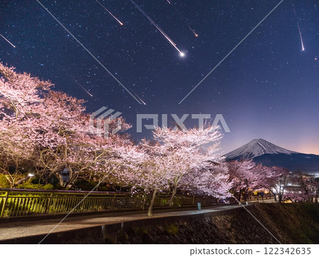 Illuminated cherry blossoms at night 122342635