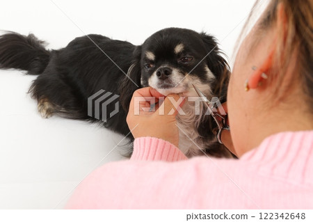 修剪狗狗鬍鬚的場景 122342648