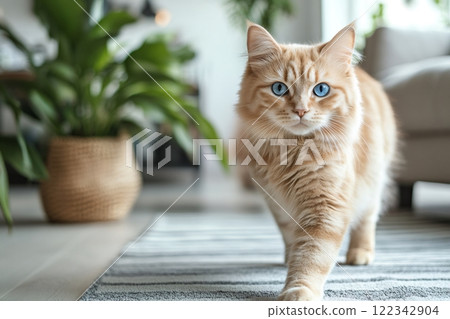 Cute ginger cat walking on carpet in cozy living room 122342904