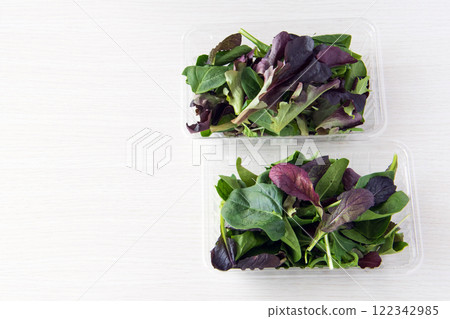 Baby leaf in a pack Baby leaf in a pack 122342985