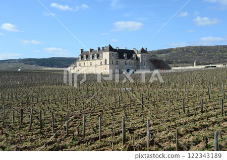 法國勃根地武若莊園城堡 法國勃根地武若莊園城堡 122343189