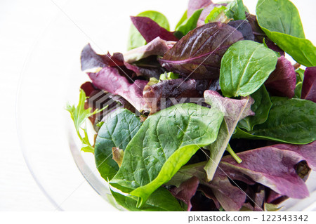 Baby leaves in a glass bowl 122343342