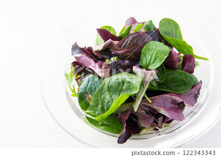 Baby leaves in a glass bowl 122343343