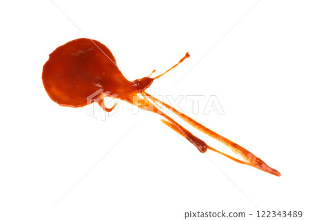 Red tomato sauce ketchup stains and smears 122343489