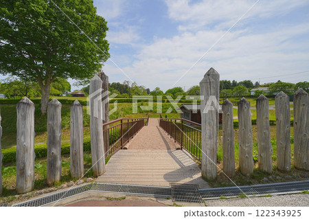 Negishi Negishi 122343925