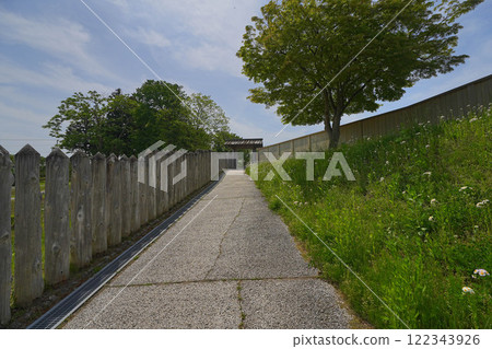 Negishi Negishi 122343926