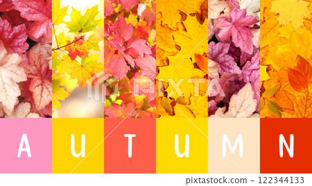Season of year. Autumn horizontal nature banner with bright colourful leaf of maple, rowanberry and birch. Nature collage with fall seasonal scenes. Copy space for text 122344133
