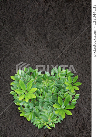 Vertical Eco background with soil and heart made from green leaves. Responsible consumption. Eco-friendly agricultural business. Ecology,  Love of nature, zero waste concept. Copy space for text 122344135