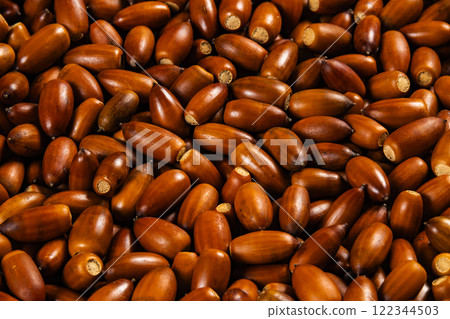 Acorn Acorn 122344503