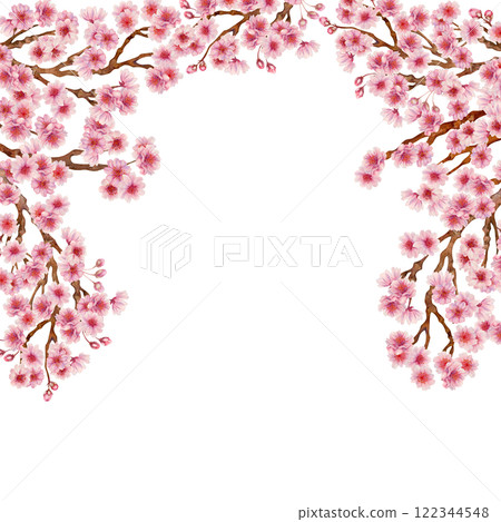 Frame of branches with pink cherry blossoms of the Japanese Hanami festival isolated on a white background. Botanical design in lilac pink color, in sunrise palette. Watercolor template for wedding 122344548