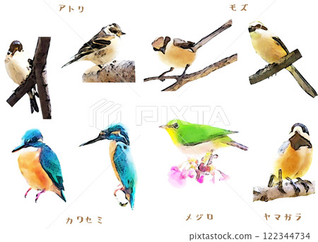 Small bird material set Small bird material set 122344734