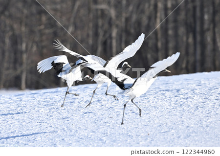 日式起重機 122344960