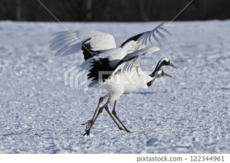 日式起重機 122344961