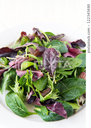 Baby leaves on a white plate Baby leaves on a white plate 122345690