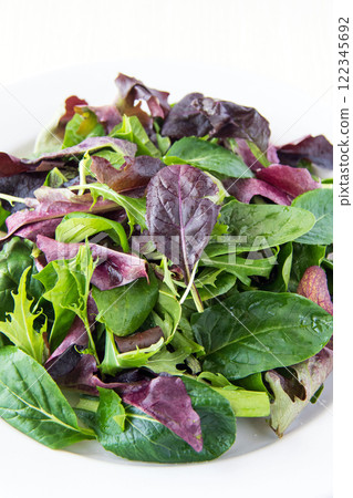 Baby leaves on a white plate Baby leaves on a white plate 122345692