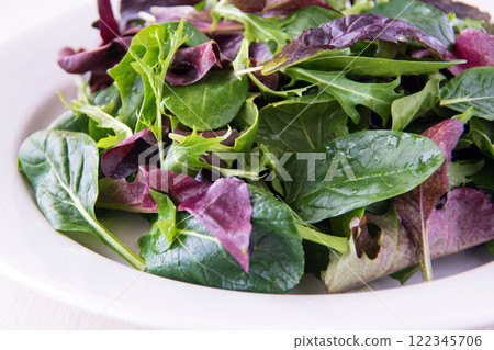 Baby leaves on a white plate 122345706