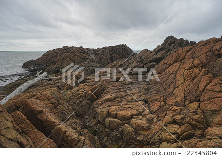 茶花海岸 122345804