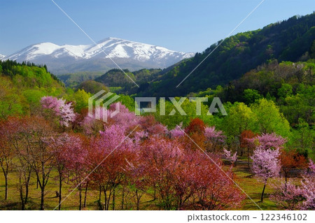 從山形縣西川町大澤村看到的殘雪覆蓋的月山和鵜鶘山的景色 從山形縣西川町大澤村看到的殘雪覆蓋的月山和鵜鶘山的景色 122346102