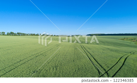 green field and blue sky 122346385