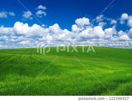 field of grass and perfect sky field of grass and perfect sky 122346427