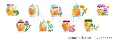 Honey in Glass Jar with Dipper and Meadow Flower Vector Set 122346536