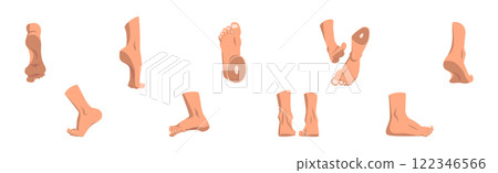 Human Feet as Body Part with Ankle Vector Set Human Feet as Body Part with Ankle Vector Set 122346566