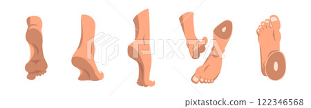 Human Feet as Body Part with Ankle Vector Set Human Feet as Body Part with Ankle Vector Set 122346568